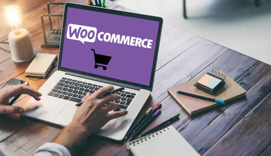 Why Hire a Professional WooCommerce Developer for Your Online Store?
